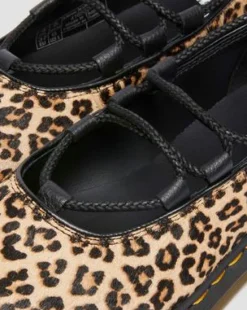 Elphie II-balletsko i leopardmønster in Leopardmønster